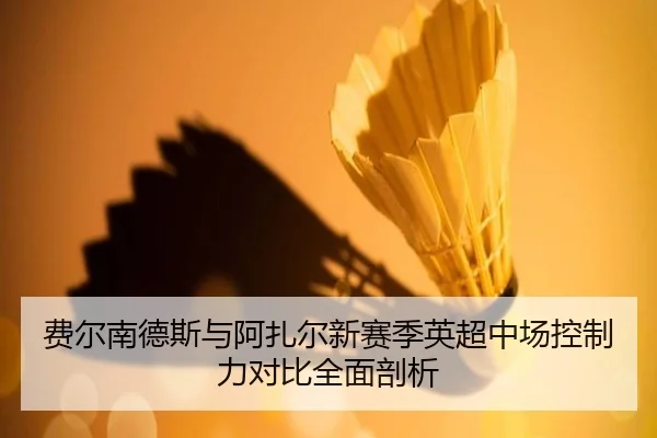 费尔南德斯与阿扎尔新赛季英超中场控制力对比全面剖析